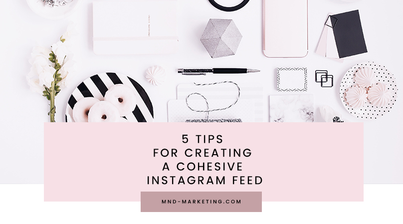 5 Tips for Creating a Cohesive Instagram Feed